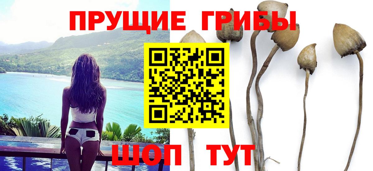 Галлюциногенные грибы прущие грибы Серпухов