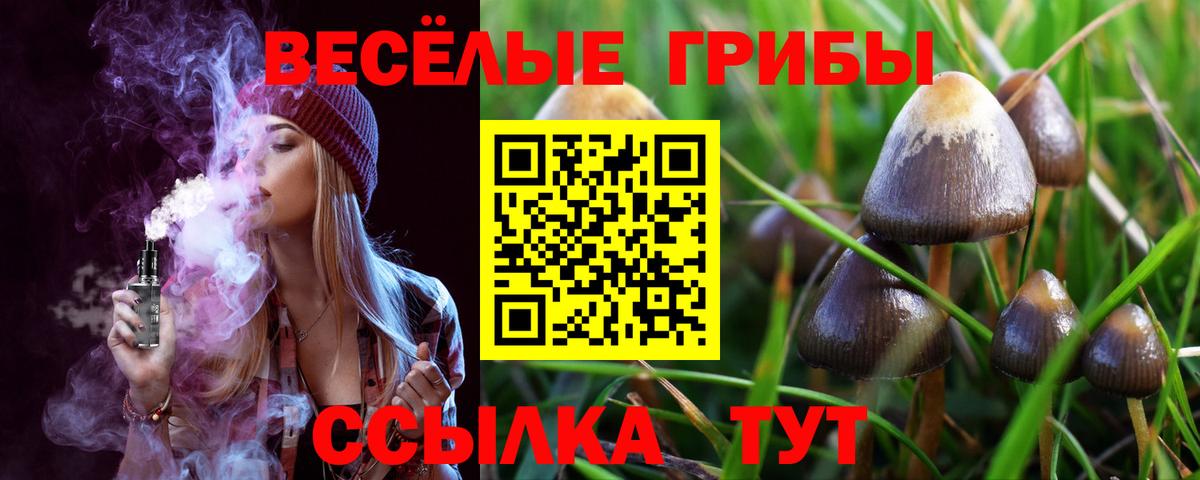 Галлюциногенные грибы прущие грибы  Вход с VPN  Серпухов  Галлюциногенные грибы MAGIC MUSHROOMS 